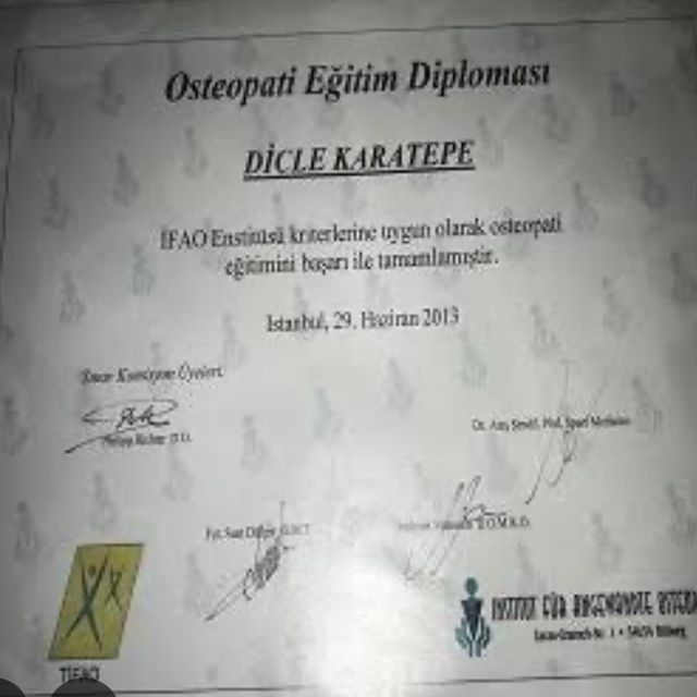 Resmi büyüt: certificate 1