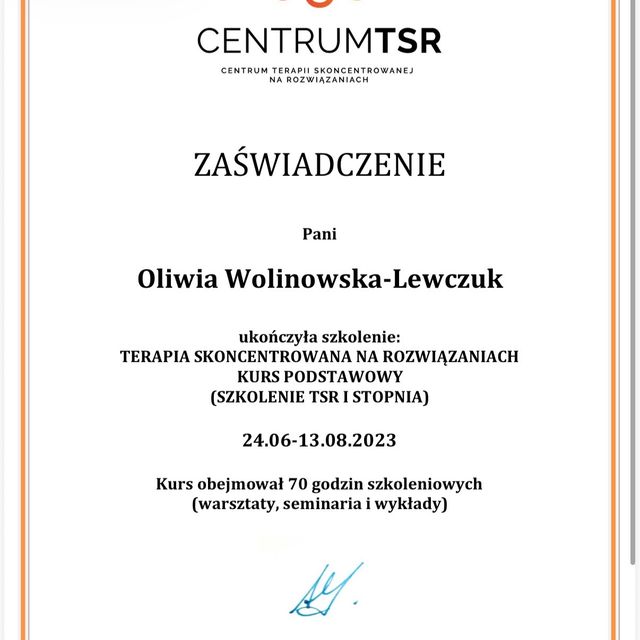 Powiększ obraz: certificate 2