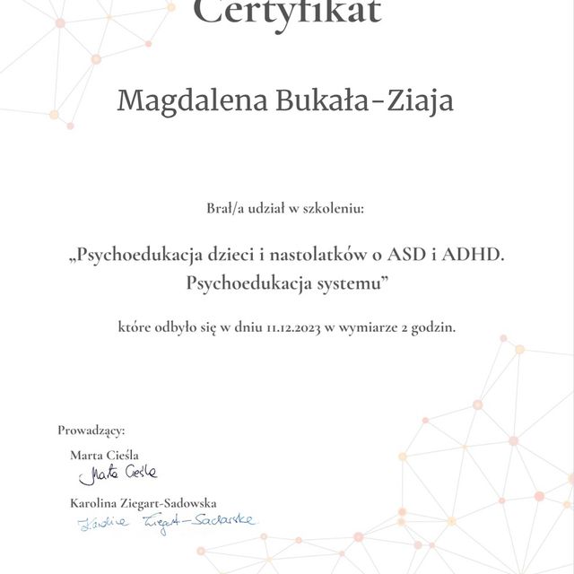 Powiększ obraz: certificate 5