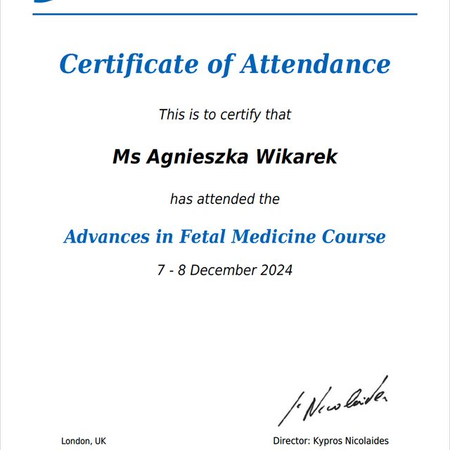 Powiększ obraz: certificate 1