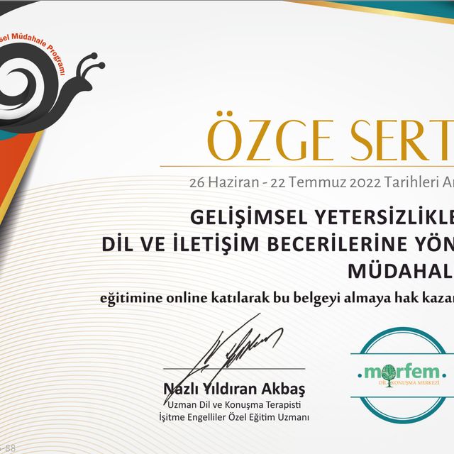 Resmi büyüt: certificate 2