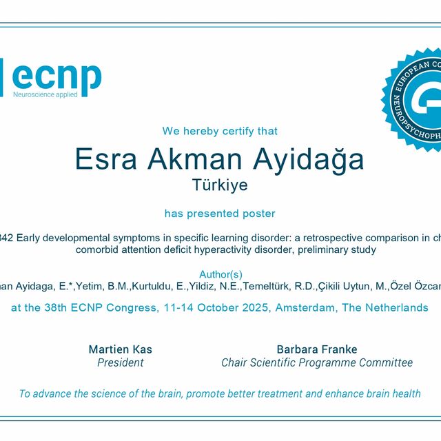 Resmi büyüt: certificate 3