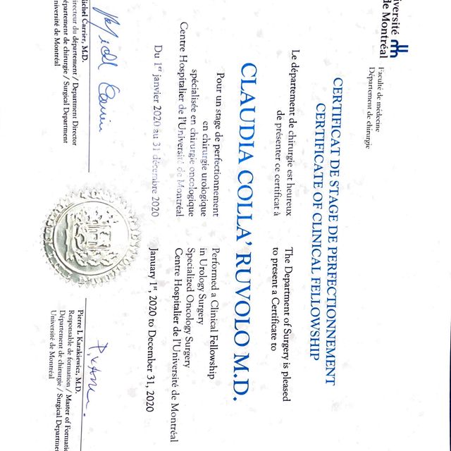 Ingrandire l'immagine: certificate 2