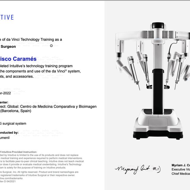 Acercar imagen: certificate 2