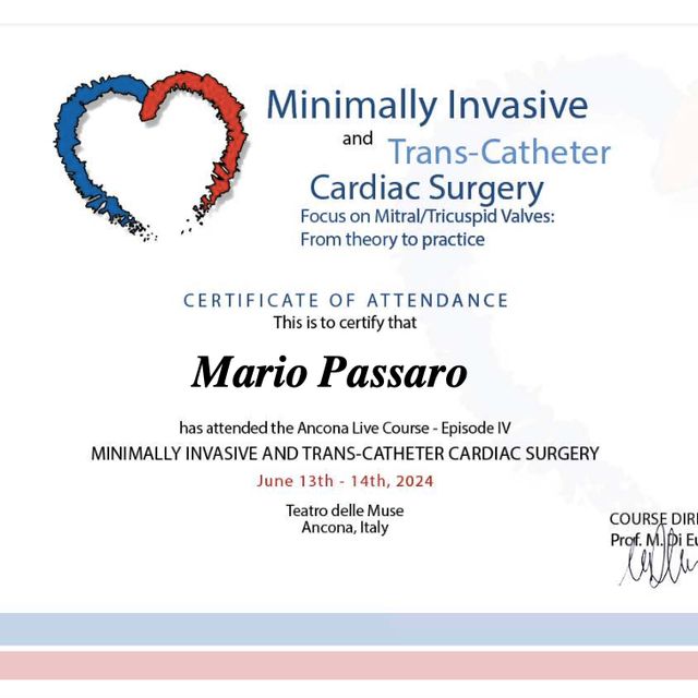 Ingrandire l'immagine: certificate 5