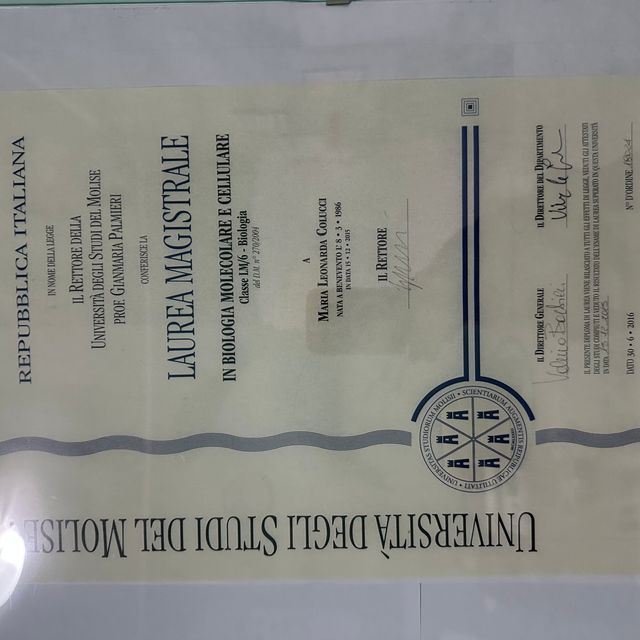 Ingrandire l'immagine: certificate 4