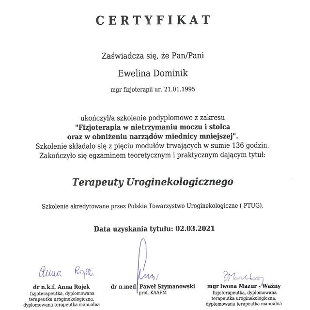 Powiększ obraz: certificate 1