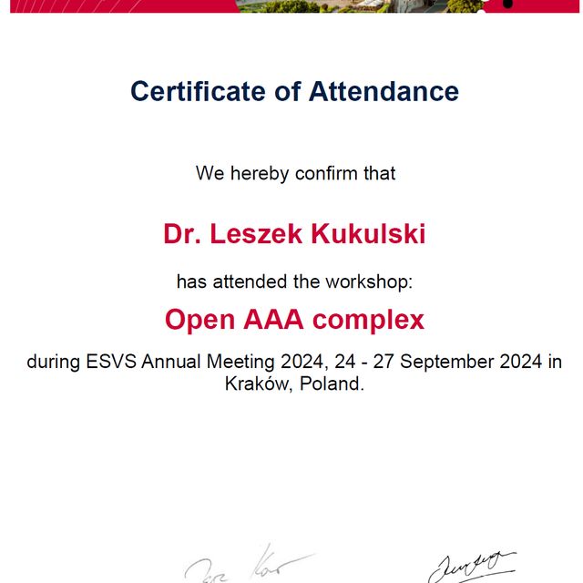 Powiększ obraz: certificate 5