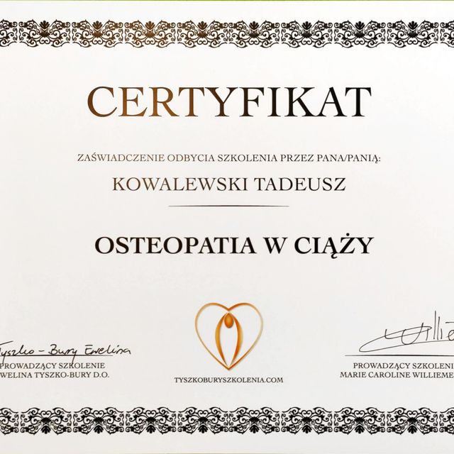 Powiększ obraz: certificate 11