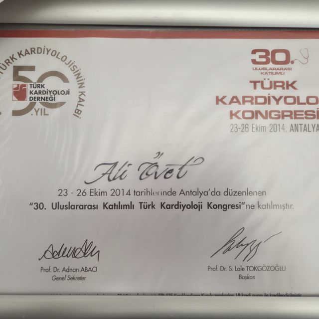 Resmi büyüt: certificate 8