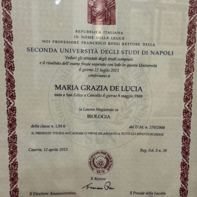 Ingrandire l'immagine: certificate 9