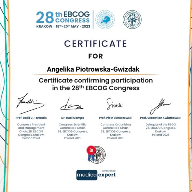 Powiększ obraz: certificate 5