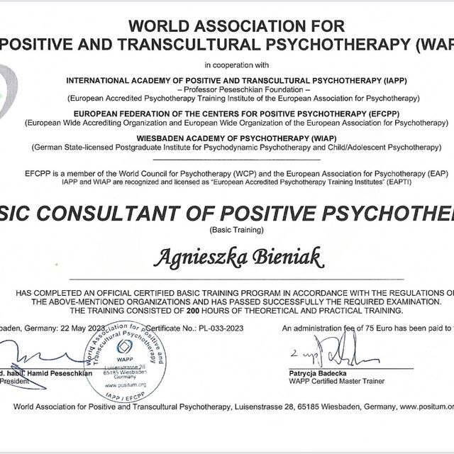 Powiększ obraz: certificate 1