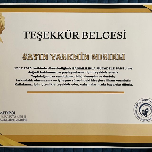 Resmi büyüt: certificate 2