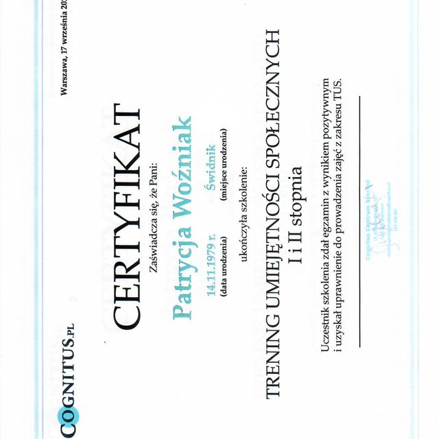 Powiększ obraz: certificate 1
