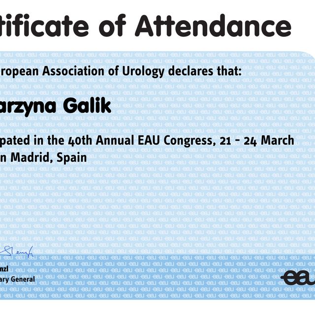 Powiększ obraz: certificate 5