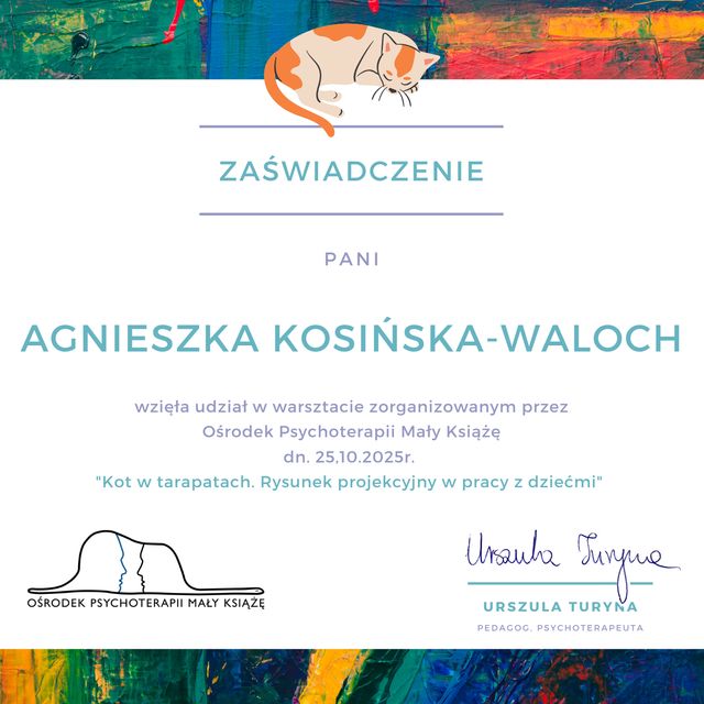 Powiększ obraz: certificate 1