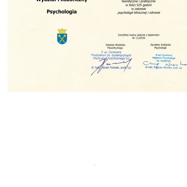 Powiększ obraz: certificate 1