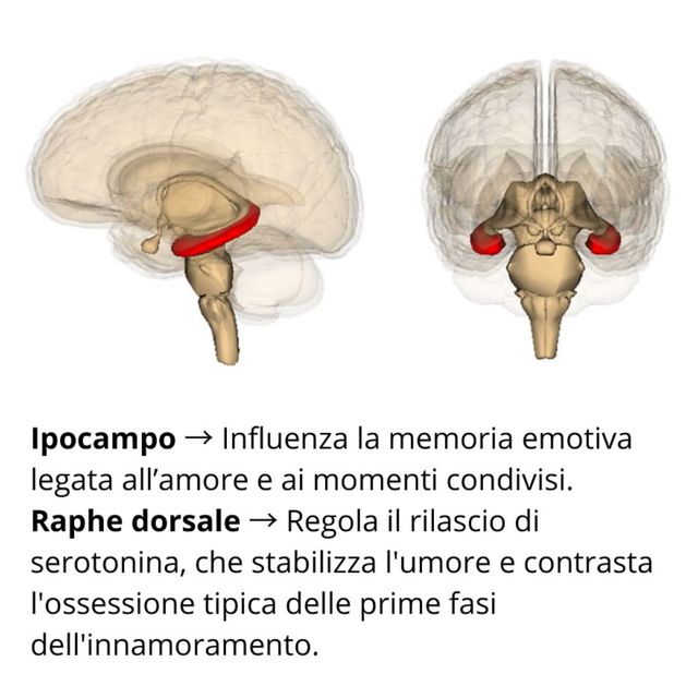 Ingrandire l'immagine: certificate 350