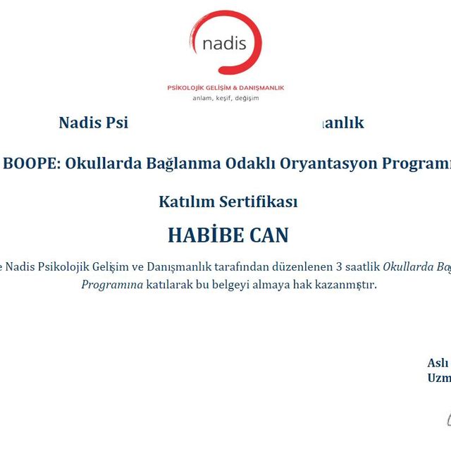 Resmi büyüt: certificate 5