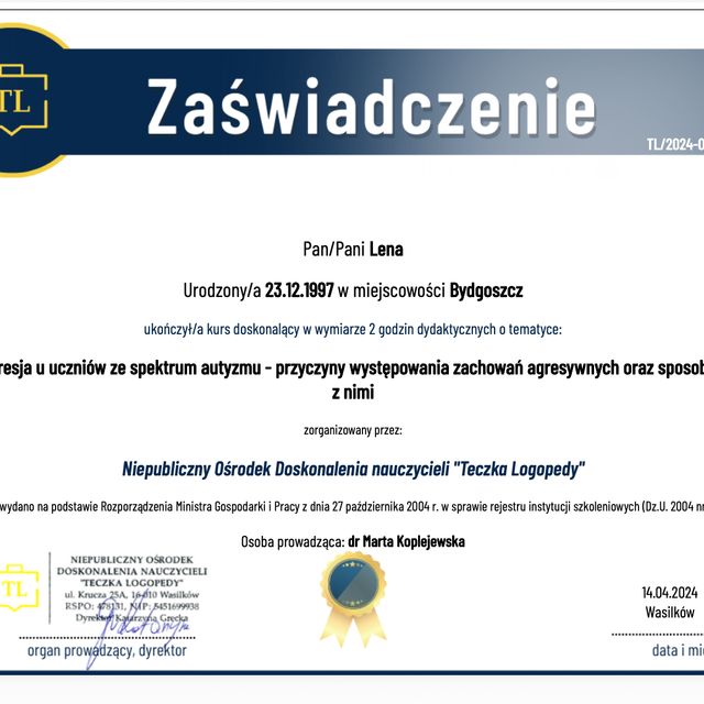Powiększ obraz: certificate 13