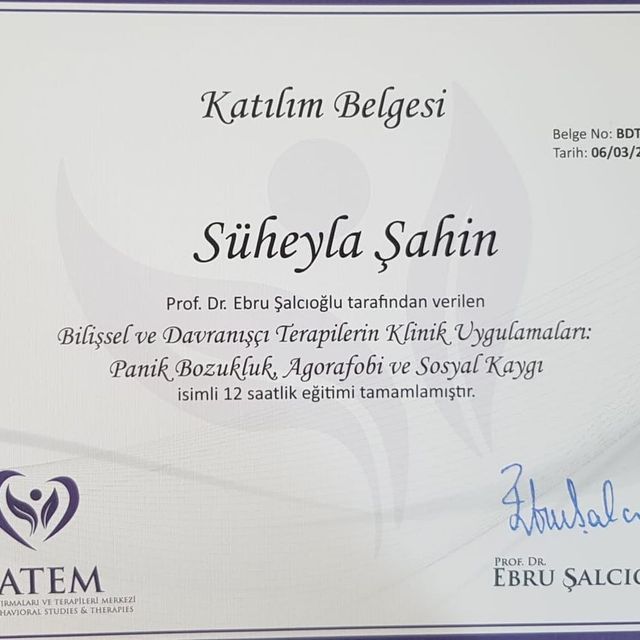 Resmi büyüt: certificate 13