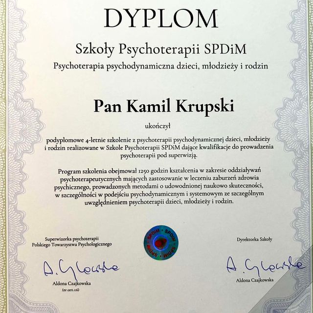 Powiększ obraz: certificate 1