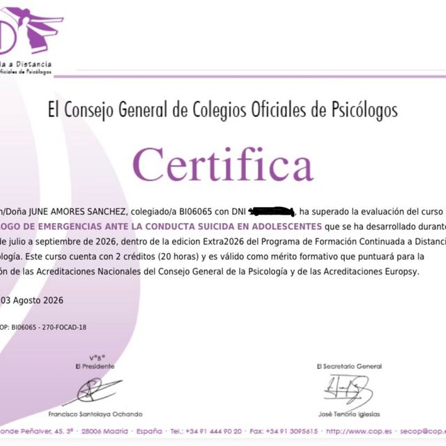 Acercar imagen: certificate 6