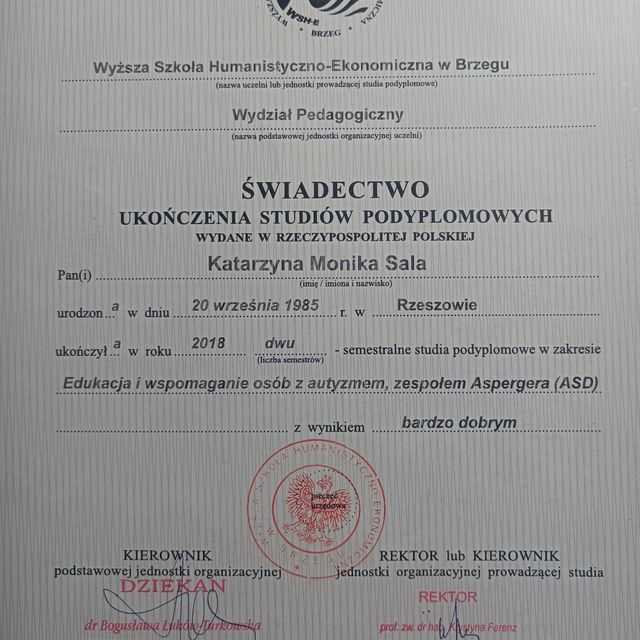Powiększ obraz: certificate 4