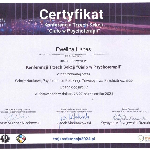 Powiększ obraz: certificate 13