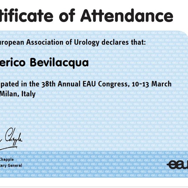 Ingrandire l'immagine: certificate 1