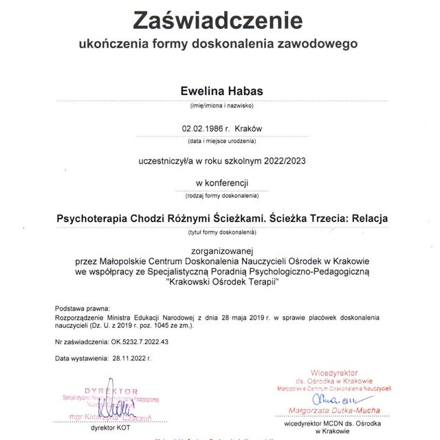 Powiększ obraz: certificate 1