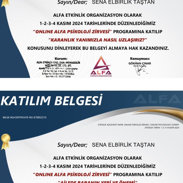 Resmi büyüt: certificate 8