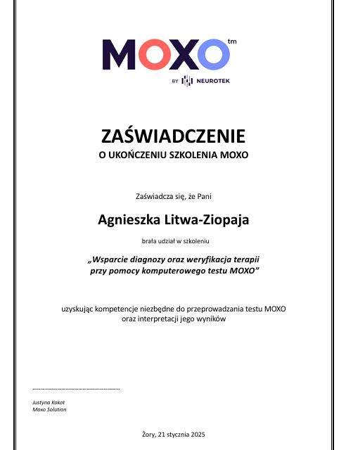 Powiększ obraz: certificate 2
