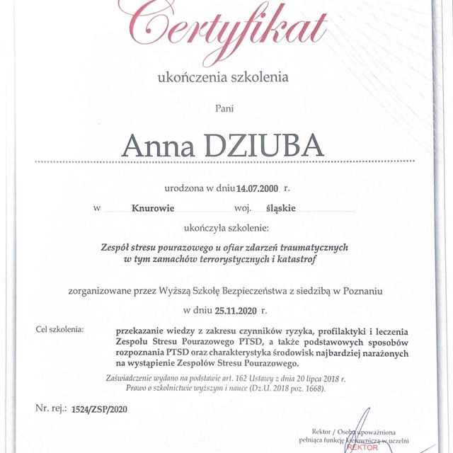 Powiększ obraz: certificate 7
