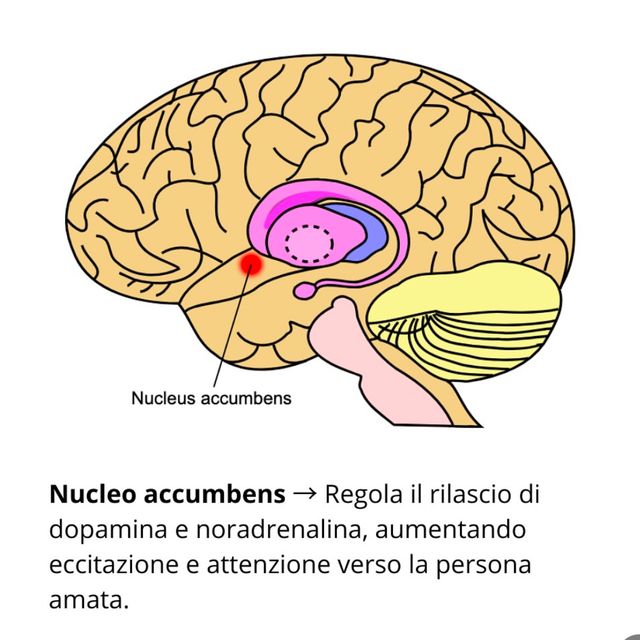 Ingrandire l'immagine: certificate 346