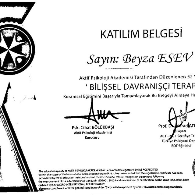 Resmi büyüt: certificate 4