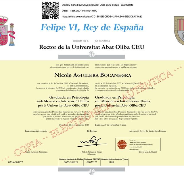 Acercar imagen: certificate 1