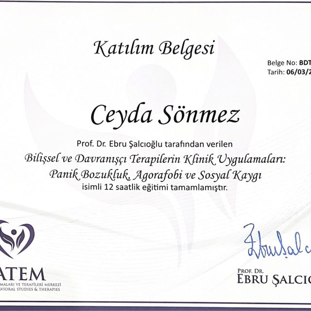 Resmi büyüt: certificate 6