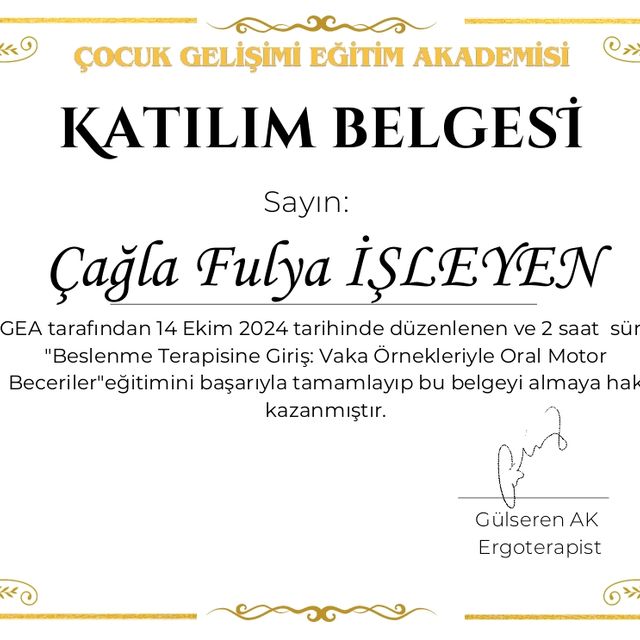 Resmi büyüt: certificate 1