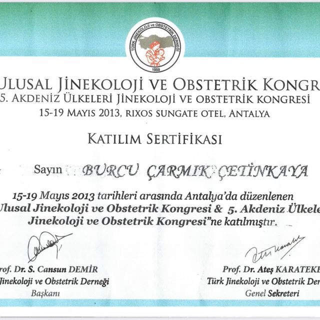 Resmi büyüt: certificate 17