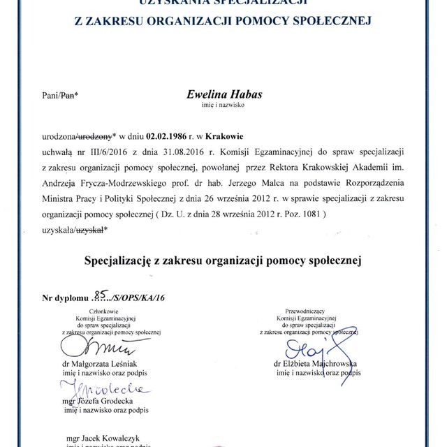 Powiększ obraz: certificate 2