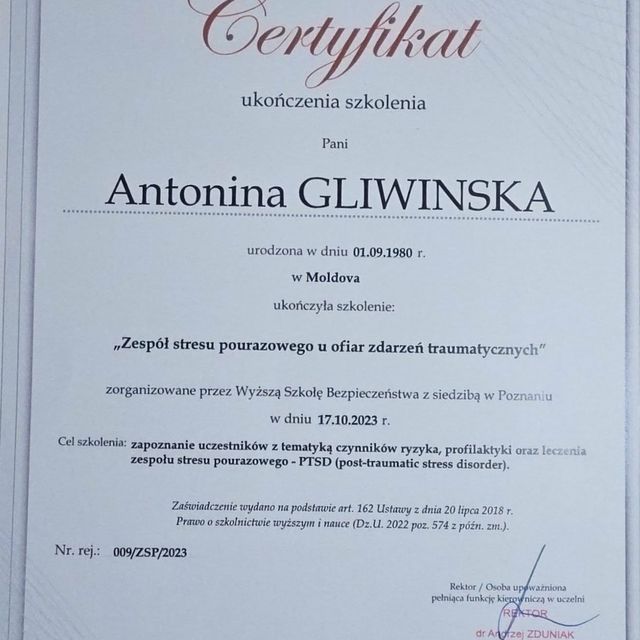 Powiększ obraz: certificate 2
