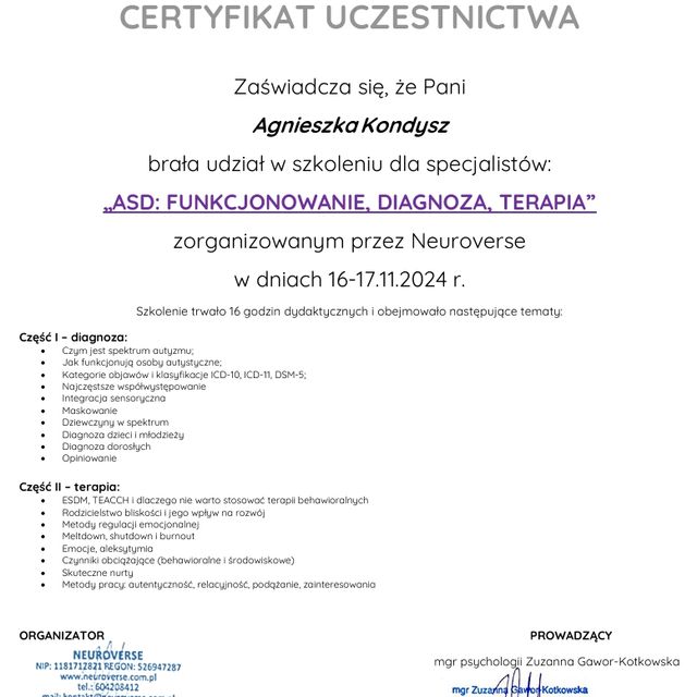Powiększ obraz: certificate 6