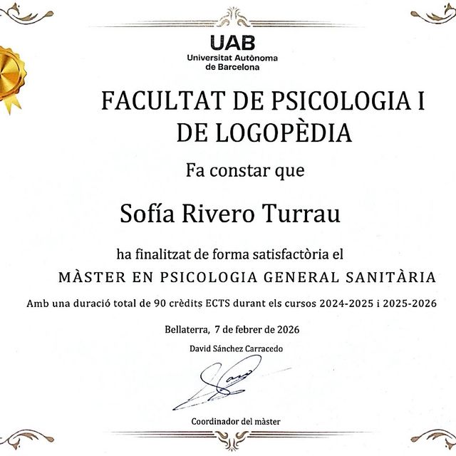 Acercar imagen: certificate 2