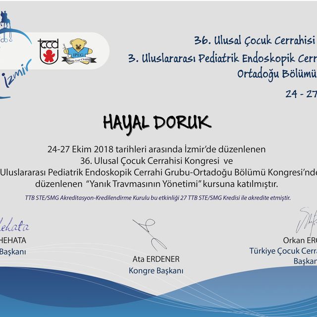 Resmi büyüt: certificate 4