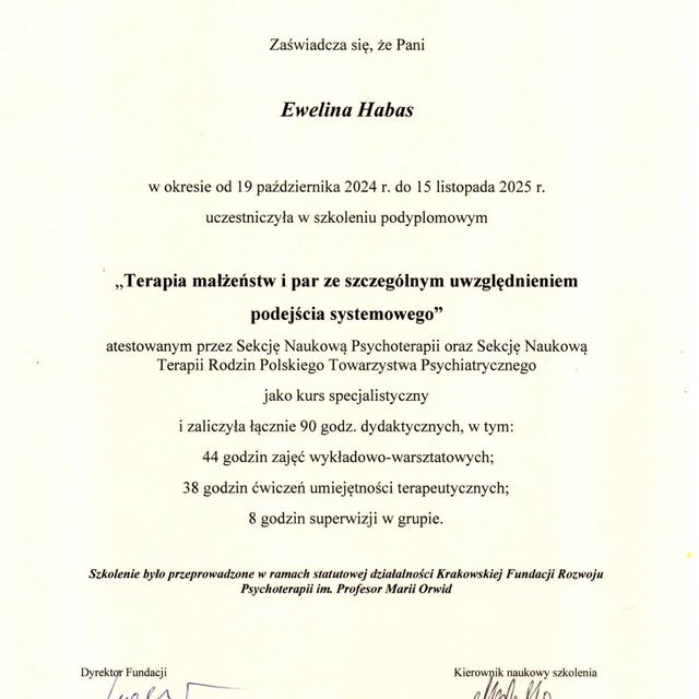 Powiększ obraz: certificate 11