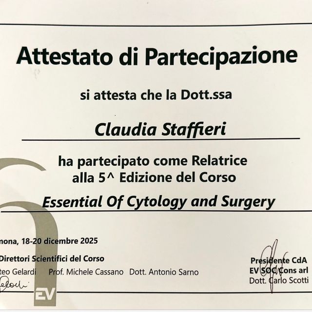 Ingrandire l'immagine: certificate 3