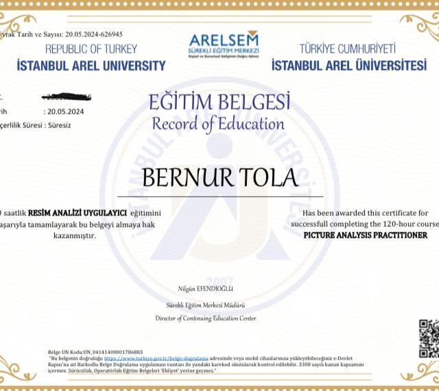 Resmi büyüt: certificate 2