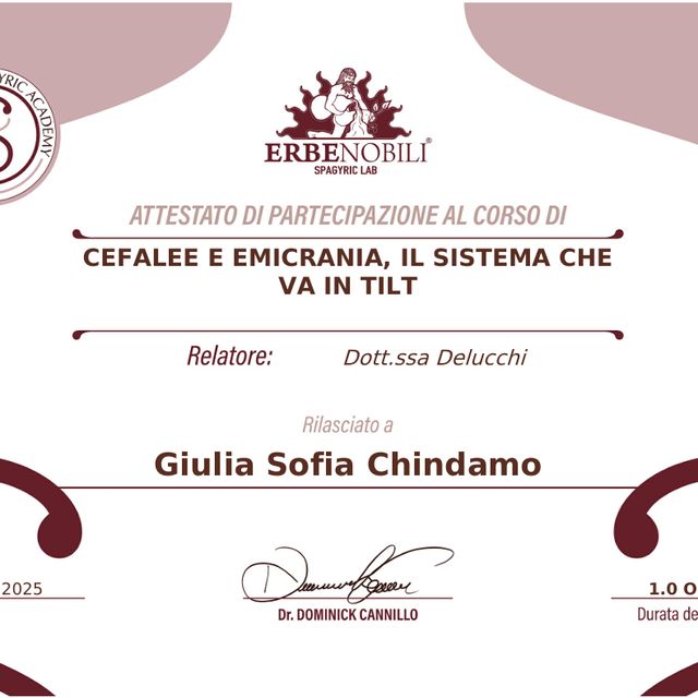 Ingrandire l'immagine: certificate 1